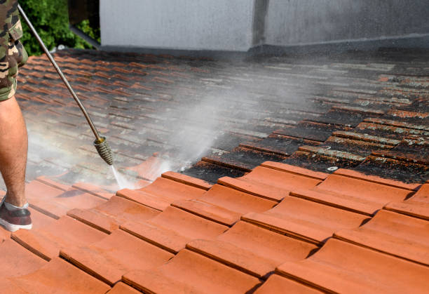 Best Exterior Home Cleaning  in Bassett, VA